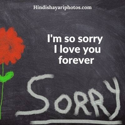 sorry status hindi